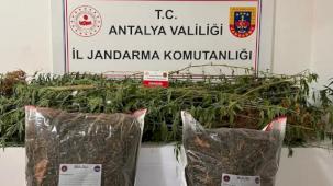 Alanya'da uyuşturucuya geçit yok!