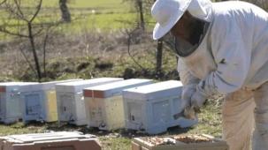 BAÇEM’de uygulamalı arıcılık kursu başlıyor