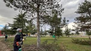 Bursa İnegöl'de yeşil alanlar bakıma alındı