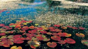 Bursa'da Kocaçay Deltası 'hassas' korunacak!