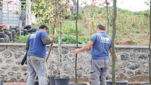 Canik'te 33 bin 668 Ağaç Kurtarıldı