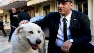 İzmir Bornova uyutmadı, sahiplendi