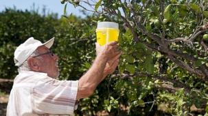 İzmir Büyükşehir Belediyesi çiftçiye umut oldu