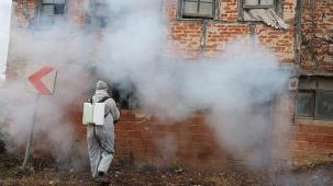 Kandıra Belediyesi Kokarca İle Mücadele Çalışması Başlattı.