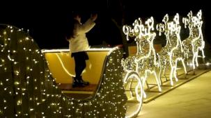 Muğla süslendi, ışıl ışıl oldu!