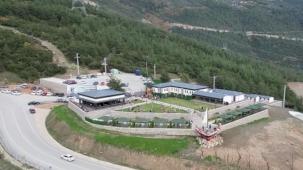 Ödüllü merkez can dostlara şifa verdi