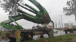 Sakarya Büyükşehir'den 'yeşil' hassasiyet