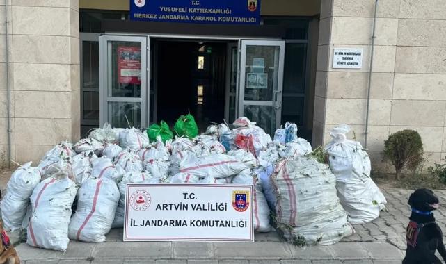 Artvin Jandarması 2024'te olayların yüzde 98'ini aydınlattı