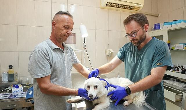 Gaziemir Belediyesi'nden 6 bin 222 can dosta şefkat eli