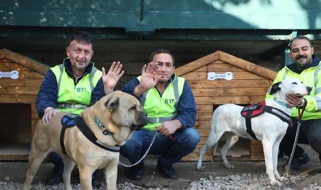 İETT'nin patili dostlar ailesi büyüyor