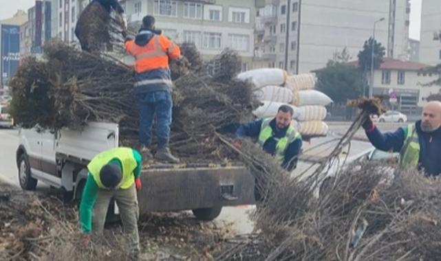 Kayseri Büyükşehir 'yeşil Kayseri' için çalışıyor