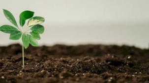 Hollanda ve Türkiye deneyimini birleştiriyor... Türkiye gübrede bölgesel üs oldu