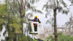 İzmir Bornova’da kışa hazırlık başladı
