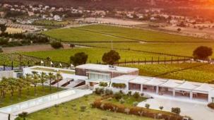 İzmir Urla Bağ Yolu 'yeşil destinasyon'a aday