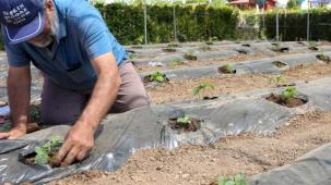 Konya’da başvurular 15 Ocak'ta başlıyor