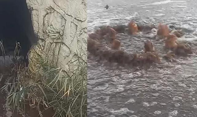 İzmir'e milyon liralık yeni bir atık su cezası daha!