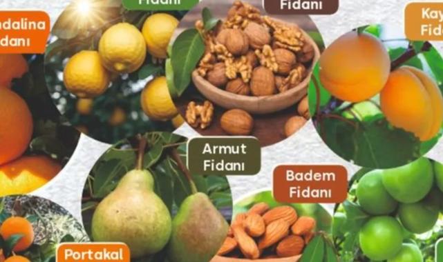 Muğla'da Milas Belediyesi tarımsal desteklemelerini sürdürüyor
