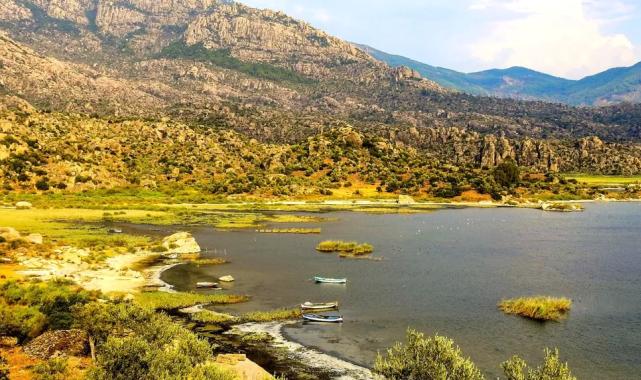 Proje Evi Kooperatifi'nden evrensel imza