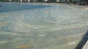 Dünyada müsilaj ne durumda?