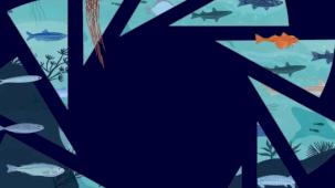 Marmara Belediyeler Birliği, 50. yıla özel 'Marmara Denizi' için toplanıyor