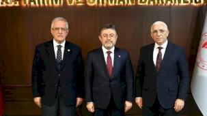 Marmarabirlik: Dane zeytine prim desteği kaldırılmamalı! Bakan Yumaklı'ya rapor sunuldu