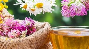 Midemize iyi gelen bitki çayları!