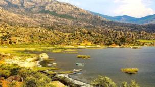Proje Evi Kooperatifi'nden evrensel imza