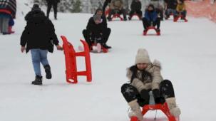 Sakarya'da Akyazı Kızak Şenliği'ne yoğun katılım