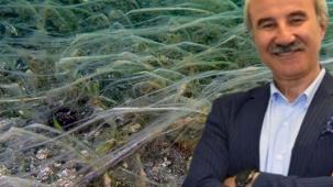 Türkiye gündemi değişse de Marmara'da gündem aynı! 4 aydır Marmara'nın gündemi müsilaj