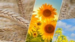 2,6 milyar TL'lik tarımsal destek ödemesi yapılacak