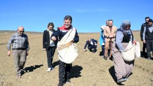 Bakan Yumaklı Taşköprü'de... Önlüğü giydi, sarımsak ekti