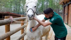 Bayramda doğanın kalbi Ormanya’da atacak