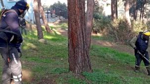 Bursa Gemlik'te yeşil seferberlik