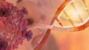 Kanser için yerli tedavi çalışması