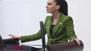 Muğla’da narenciye üreticisinin TBMM'de sesi oldu