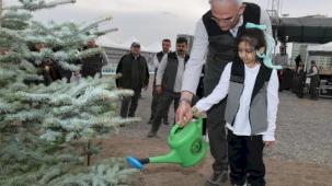 Orman Haftası'nda yanan alanlar fidanlarla buluşacak