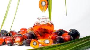 Palm yağıyla ilgili yanlış algılar çürütüldü!