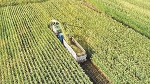 Tarım Arazilerini Etkinleştirme projelerini destekleyecek karar Resmi Gazete'de