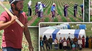 Tarım işçilerine en yüksek ödeme yapan iller?