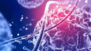 Eksozom kök hücre nedir?