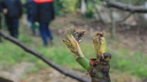 Mudanya'da soğuk hava üretimi yaktı!