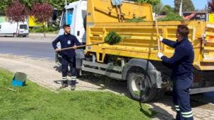 Yalova'da yeşil alan bakımı sürüyor