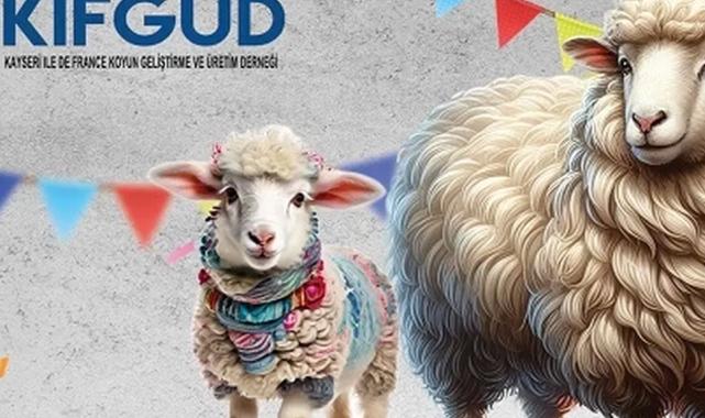 Kayseri Talas'ta France ırkına özel festival