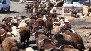 İzmir Karabağlar'da Kurban Bayramı öncesi örnek uygulama