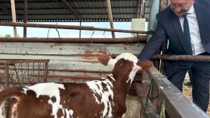 Manisa'da 'tek dam projesi' Selendi'de tanıtıldı