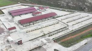 Sivas’ta kurban pazarı Kovalı'ya kuruluyor