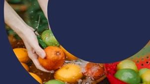 Türkiye’den 'PlantHealth4Life' kampanyasına destek