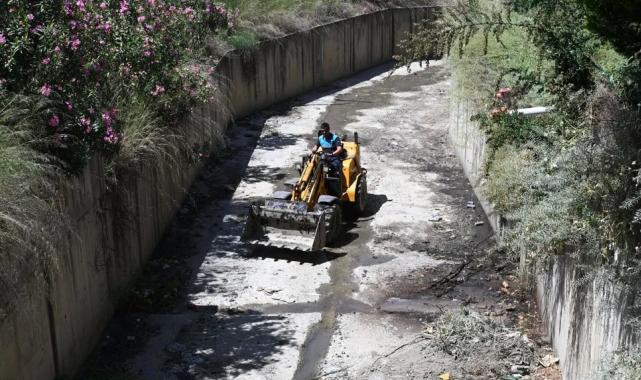 Manisa'da Bozköy Deresi hayat buluyor
