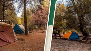 Aile bağları doğada güçleniyor