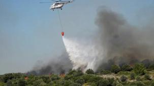 Bakan Yumaklı'dan 'yeşil vatan' uyarısı!